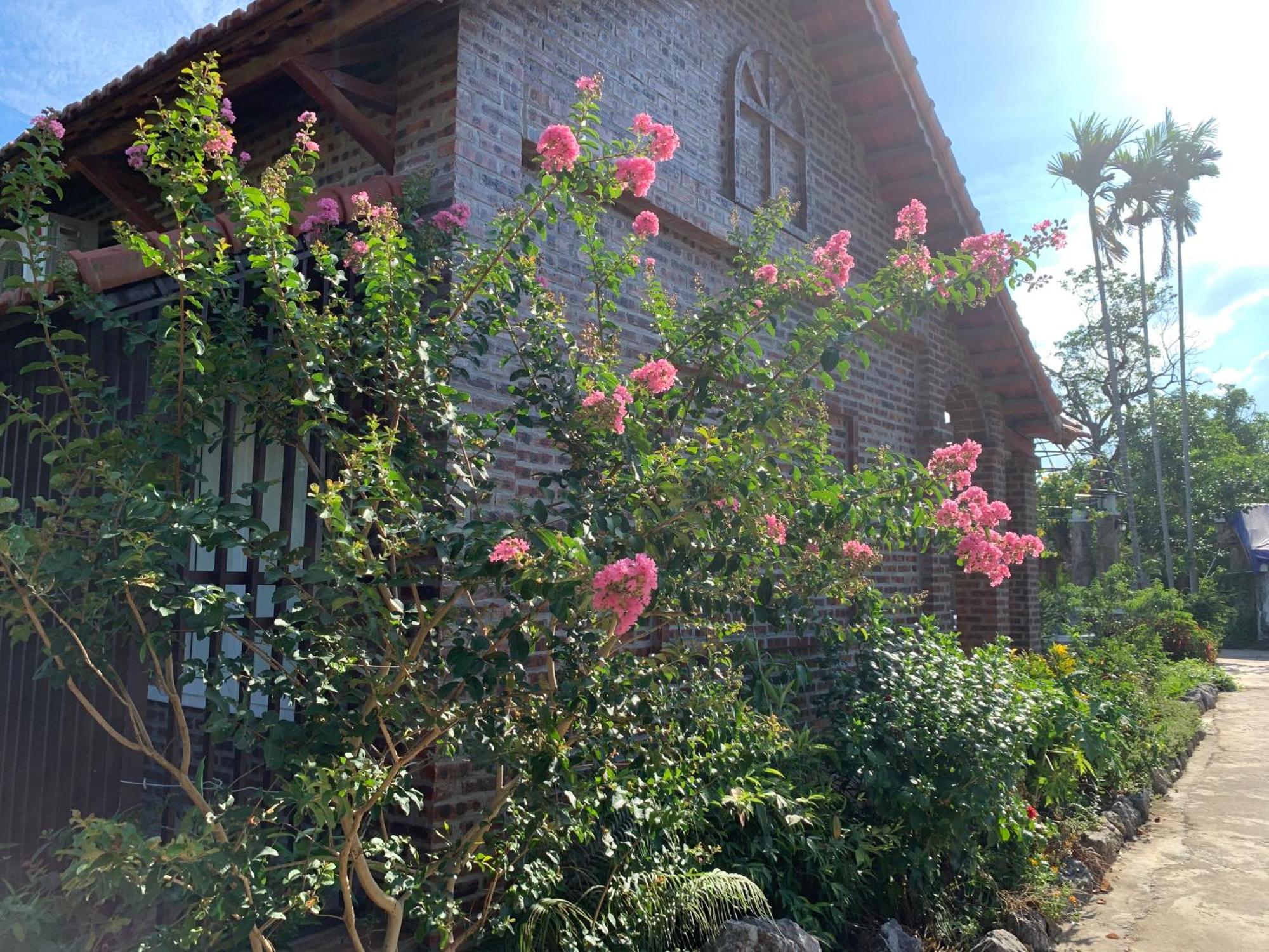 Dinh Gia Home Ninh Binh Exterior foto